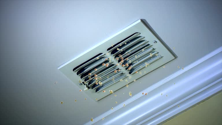 Best Air Duct Cleaning Near Me  in Central City, IL