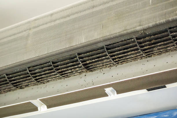 Best Affordable Air Duct Cleaning  in Central City, IL